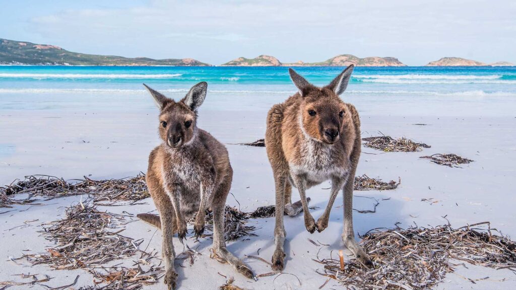 Intercâmbio na Austrália